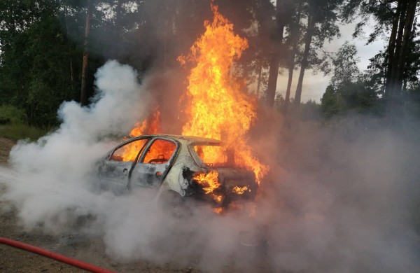 Gaižiūnų kaimo miške degė „Peugeot 206“