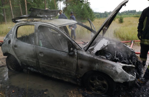 Gaižiūnų kaimo miške degė „Peugeot 206“