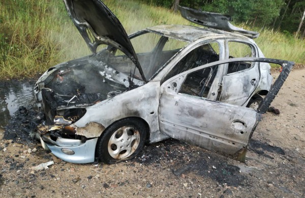 Gaižiūnų kaimo miške degė „Peugeot 206“