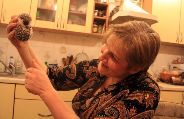 Jonaviečių augintinis – Afrikos keturpirštis ežys Spirgis