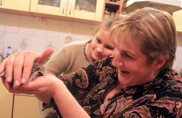 Jonaviečių augintinis – Afrikos keturpirštis ežys Spirgis