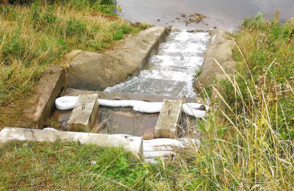 Tęsiami tikrinimai, kaip NAPC įgyvendina avarijos padarinių šalinimą