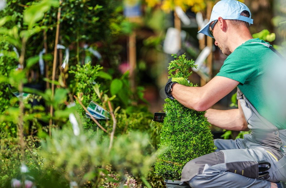 Tarp dirbančiųjų sezoninį darbą – vis daugiau užsieniečių