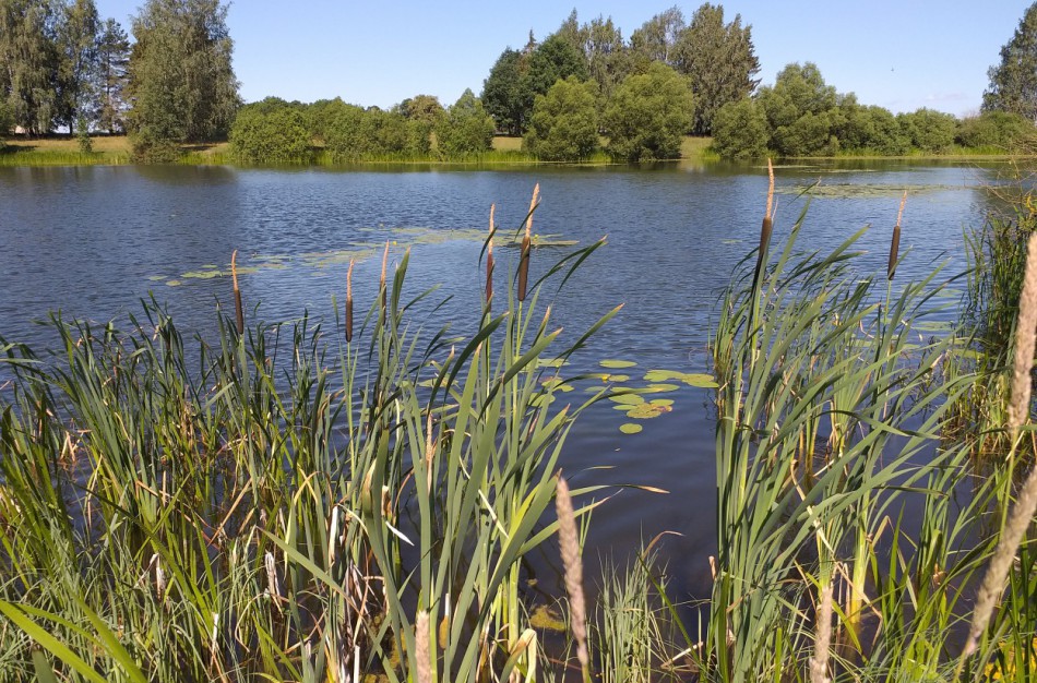 Žeimių ežero vanduo neatitinka higienos normos reikalavimų