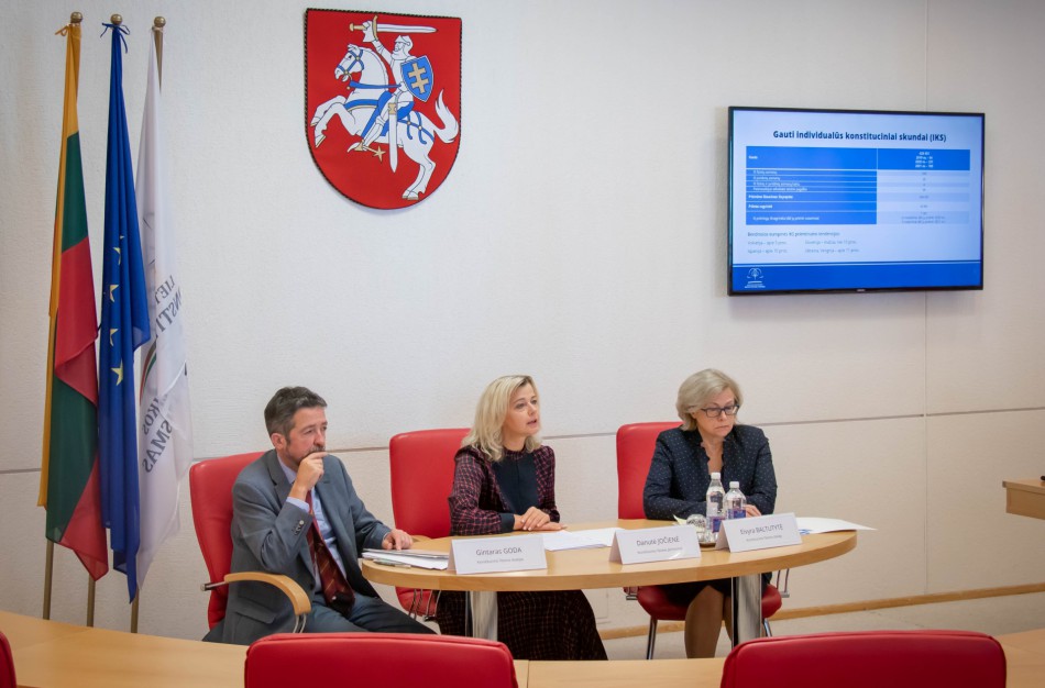 Individualus konstitucinis skundas – reali galimybė žmonėms apginti pažeistas savo teises ar laisves