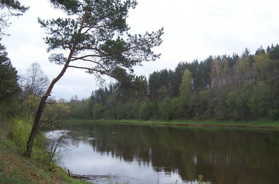 Neryje rastas vyro kūnas: įtariama, kad tai -  Jonavos rajone iš valties iškritusio asmens palaikai