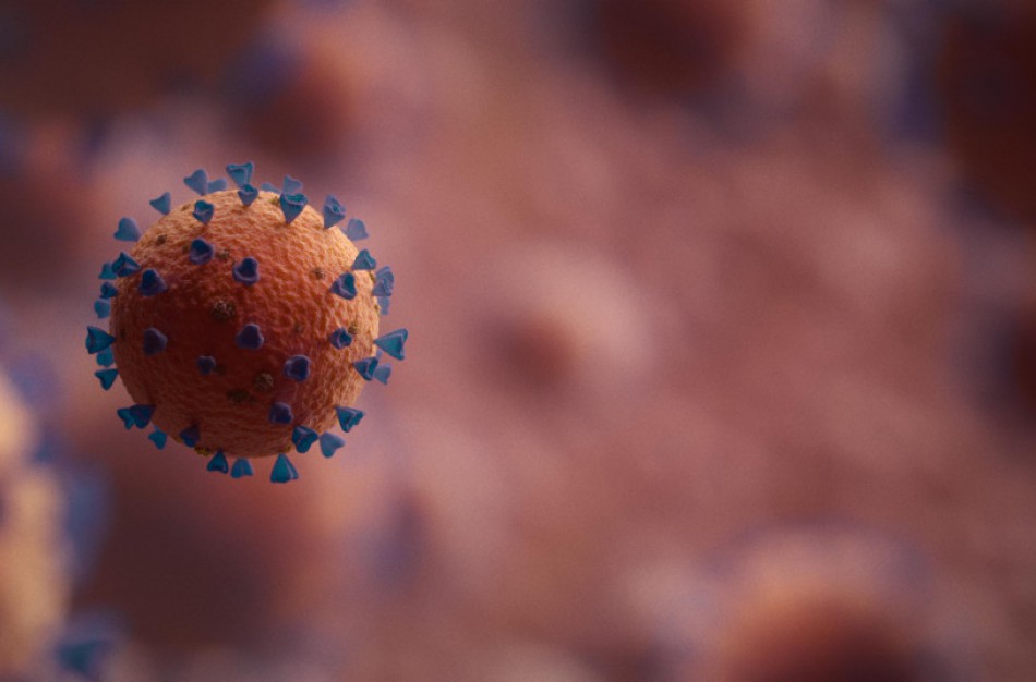 Covid-19 rajone: izoliuojasi darželinukai, mokiniai, toliau serga įmonių darbuotojai