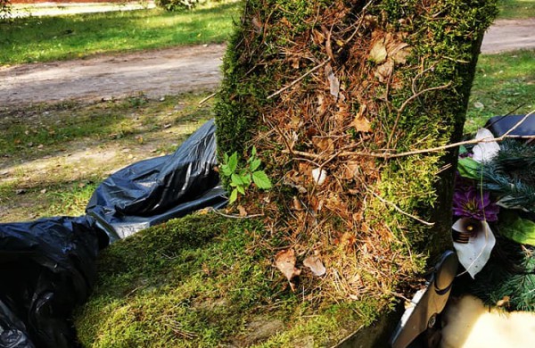 „Miško kuopa“ sutelkė miškų švarai neabejingus piliečius – surinktos tonos šiukšlių
