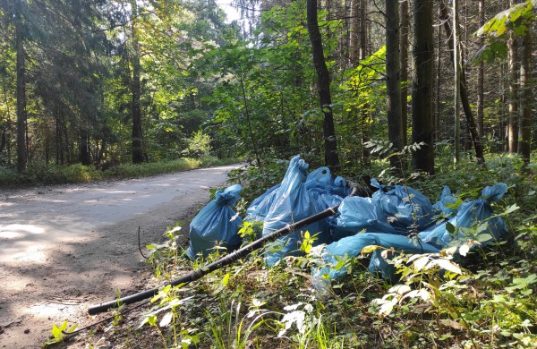 „Miško kuopa“ sutelkė miškų švarai neabejingus piliečius – surinktos tonos šiukšlių