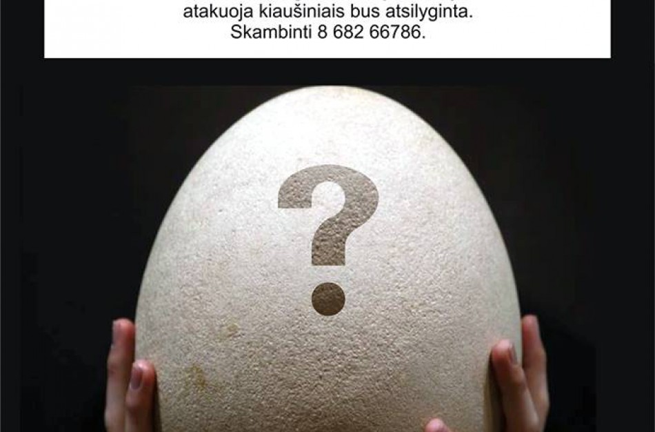 Birutės gatvės daugiabučio gyventojai skelbia „kiaušingalvio“ paieškas