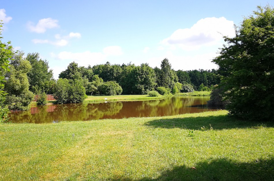 Taurostos tvenkinio vanduo neatitinka reikalavimų