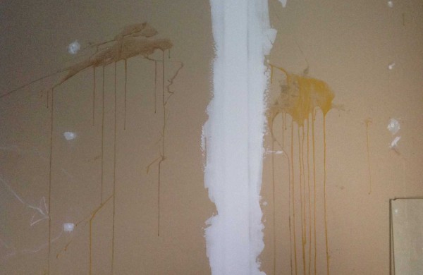 Birutės gatvės daugiabučio gyventojai skelbia „kiaušingalvio“ paieškas