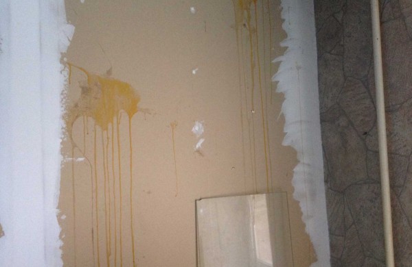 Birutės gatvės daugiabučio gyventojai skelbia „kiaušingalvio“ paieškas