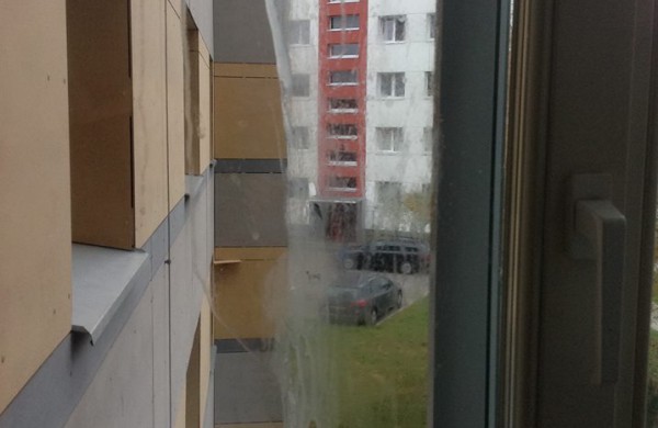 Birutės gatvės daugiabučio gyventojai skelbia „kiaušingalvio“ paieškas