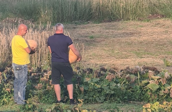 Ruduo yra antrasis pavasaris, kai kiekvienas lapas yra gėlė (Albertas Camusas)