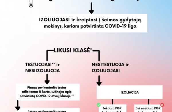 Trumpėja izoliacijos trukmė, specialus izoliacijos algoritmas – ugdymo įstaigoms