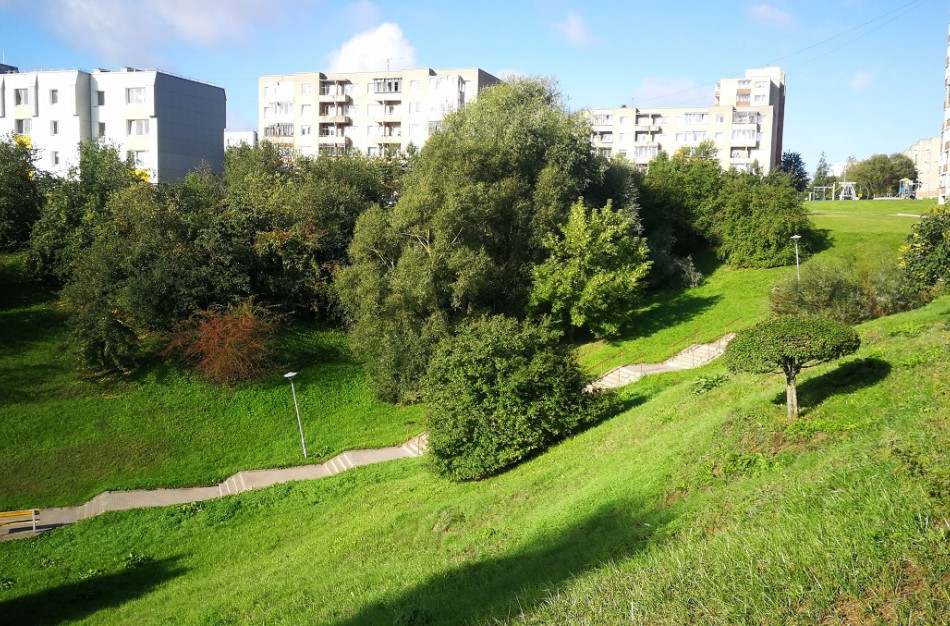 Lietuvos bankas imasi priemonių NT rinkos kaitimui užkardyti
