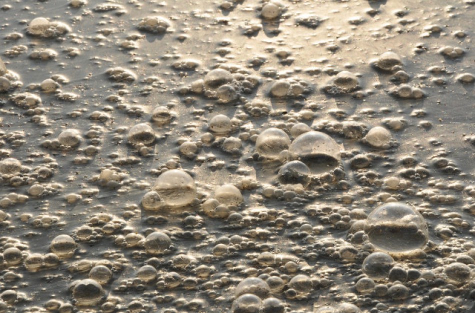 Netinkamai tvarkydami nuotekas gyventojai teršia ne tik savo kiemus ir šulinius