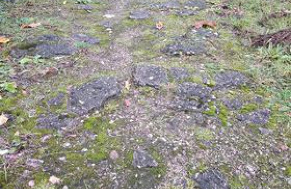 Vitalijus apie Baldininkų gyvenvietę: Mokyklos ir Geležinkelio gatvės netvarkomos nuo 1945 metų