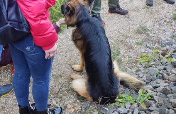 Džiaugsminga atomazga: Karat grįžo namo