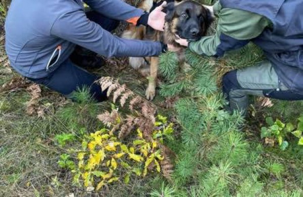 Džiaugsminga atomazga: Karat grįžo namo
