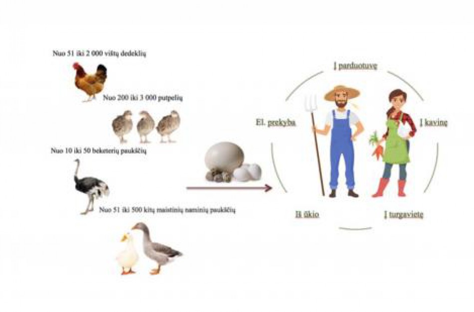 Jau galima mažais kiekiais prekiauti ir kitų naminių paukščių kiaušiniais