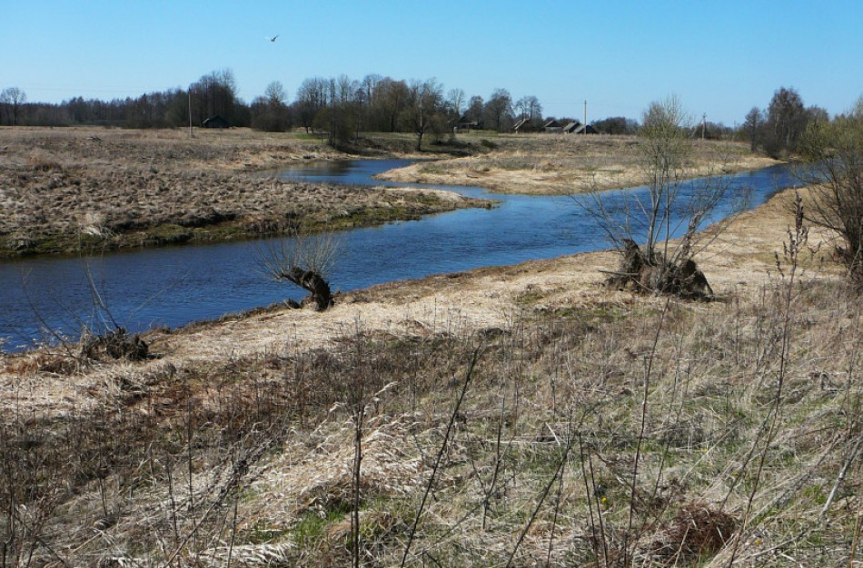 Bus išperkama privati žemė „Natura 2000“ ekologiniam tinklui plėsti
