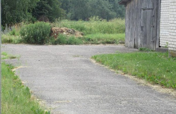 Skelbiamas pastato-pirties su aikštele ir sklypu Samanynės g. 30, Aklojo ežero k., Šilų sen., pakartotinis  pardavimo aukcionas