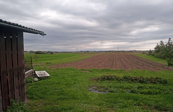 Gyvenamojo namo su ūkiniu pastatu ir sklypu Žiedo g. 4, Preišiogalėlės k., Kulvos sen., pardavimo aukcionas