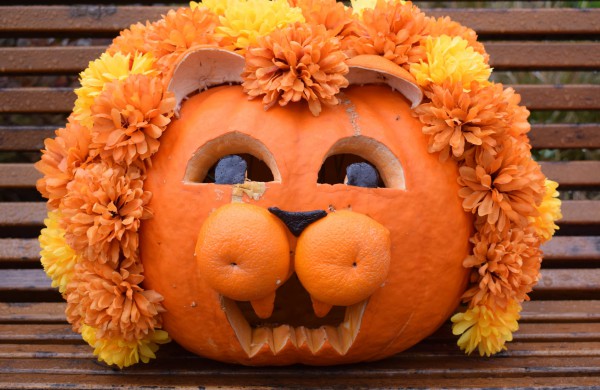 Jonavos viešosios bibliotekos akcija-konkursas „Moliūgų terasa“ jau 5-ąjį kartą subūrė bendruomenę