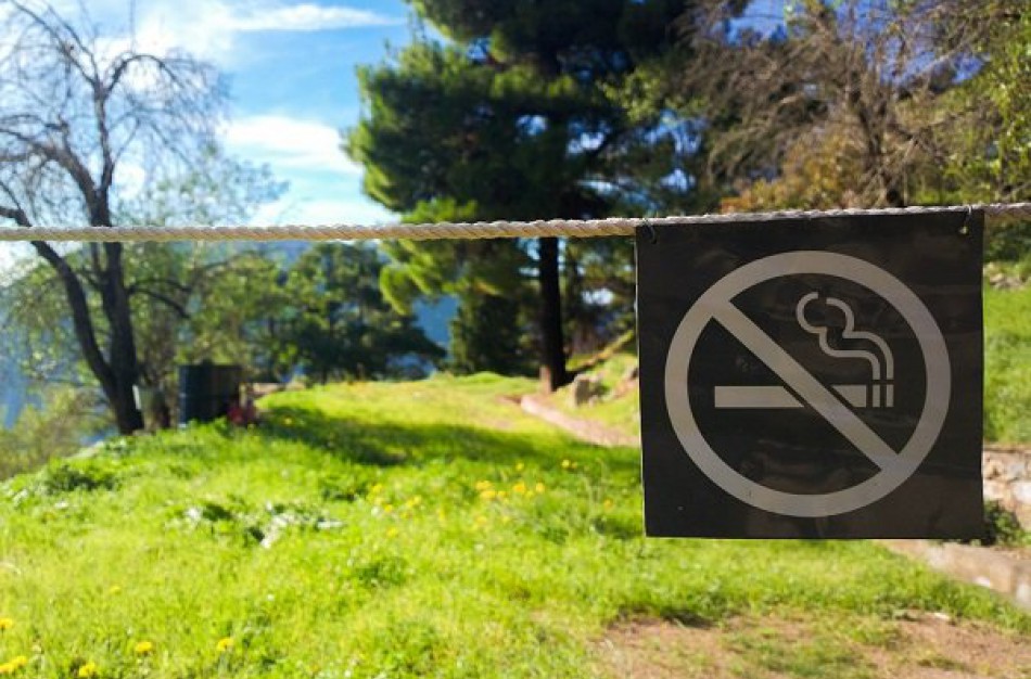 PPK pirmininkė M. Danielė: narkotikų vartojimas yra ne baudžiamosios teisės, o visuomenės sveikatos problema