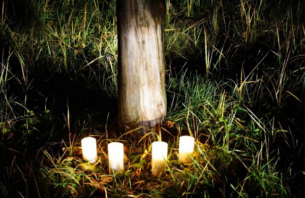 Krašto muziejaus darbuotojai teroro aukas pagerbė prie Paryžiaus kaimo Jonavos rajone