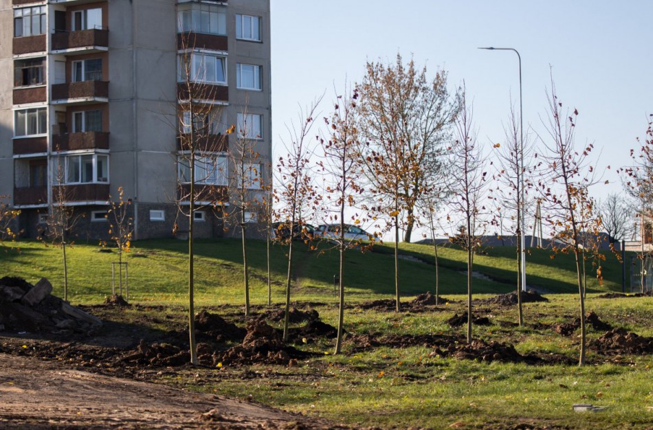 Rimkų parke pasodinti pirmieji medžiai