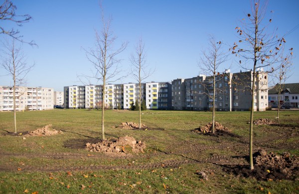 Rimkų parke pasodinti pirmieji medžiai