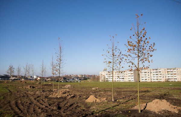 Rimkų parke pasodinti pirmieji medžiai