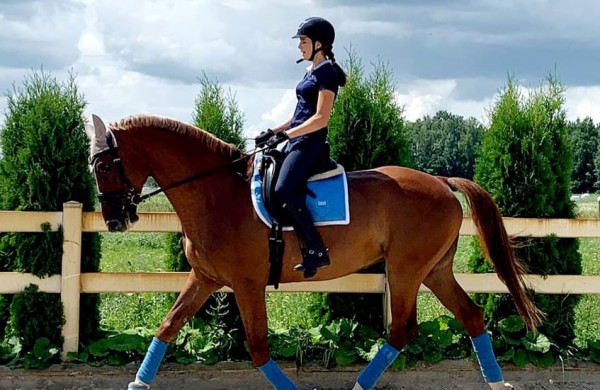 Jonavos rajone įsikūręs žirgynas atgimė naujam gyvenimui