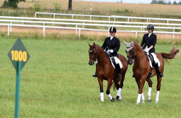 Jonavos rajone įsikūręs žirgynas atgimė naujam gyvenimui