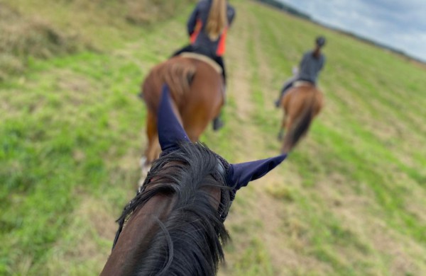 Jonavos rajone įsikūręs žirgynas atgimė naujam gyvenimui