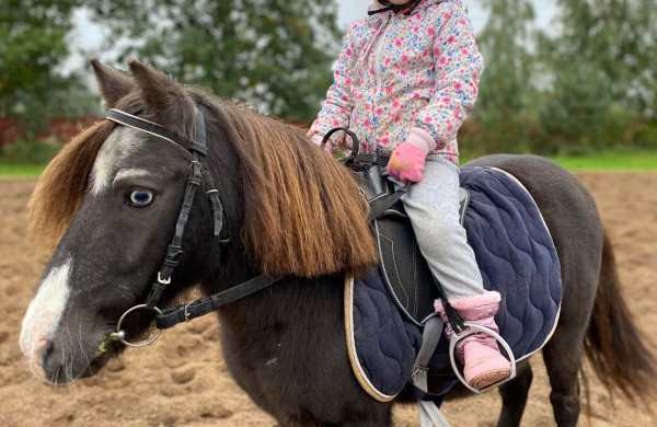 Jonavos rajone įsikūręs žirgynas atgimė naujam gyvenimui