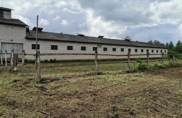 Jonavos rajone įsikūręs žirgynas atgimė naujam gyvenimui