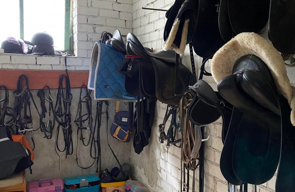 Jonavos rajone įsikūręs žirgynas atgimė naujam gyvenimui