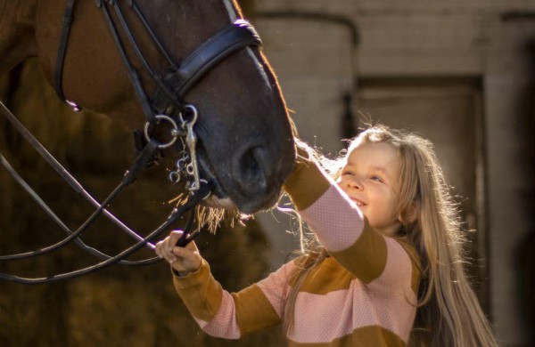 Jonavos rajone įsikūręs žirgynas atgimė naujam gyvenimui