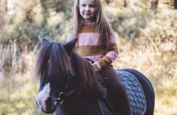 Jonavos rajone įsikūręs žirgynas atgimė naujam gyvenimui