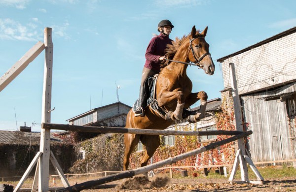 Jonavos rajone įsikūręs žirgynas atgimė naujam gyvenimui