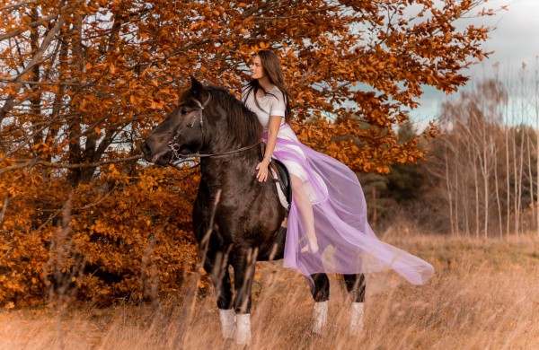 Jonavos rajone įsikūręs žirgynas atgimė naujam gyvenimui