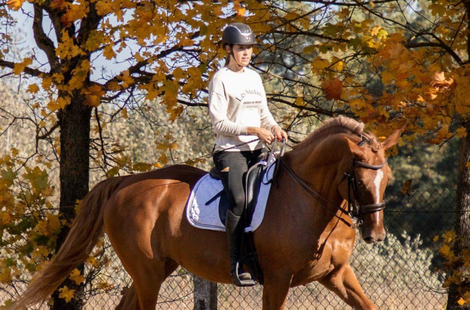 Jonavos rajone įsikūręs žirgynas atgimė naujam gyvenimui