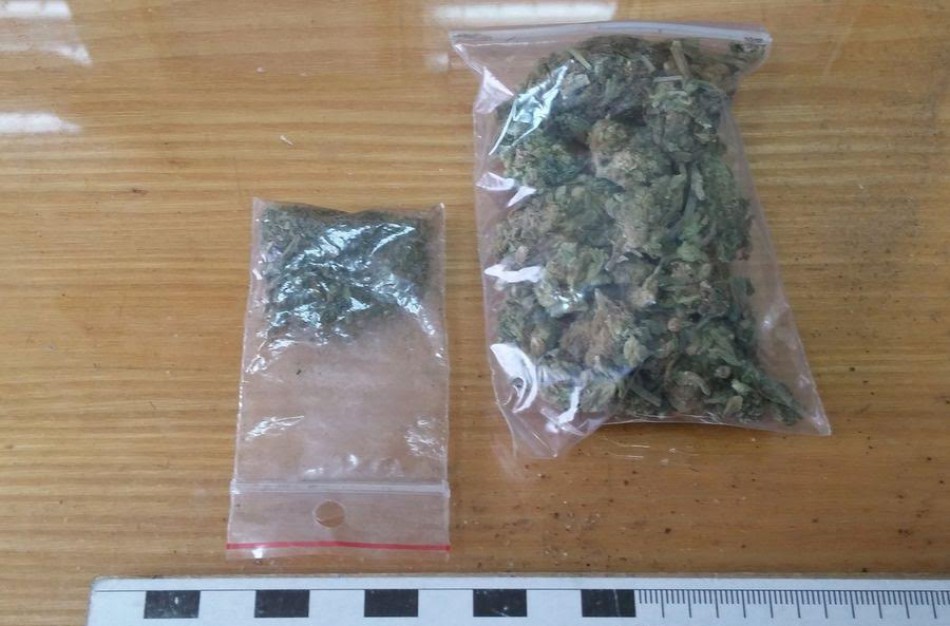 Seimo narė M. Danielė: „Nepritaręs dekriminalizacijos projektui Seimas renkasi toliau griauti jaunų žmonių gyvenimus“