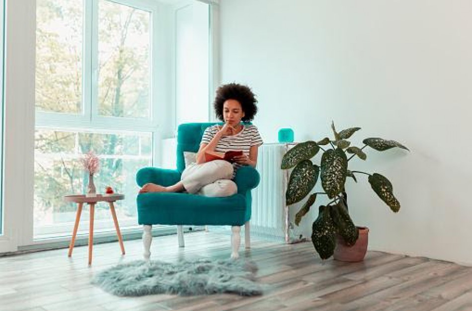 Kuris fotelis yra verčiausias keliauti į jūsų namus?