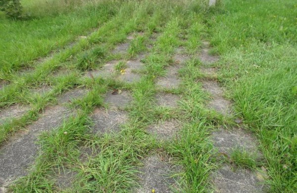 Pastato-pirties su kiemo statiniais ir sklypu Pirties g. 3, Liepių k., Bukonių sen., pardavimo aukcionas