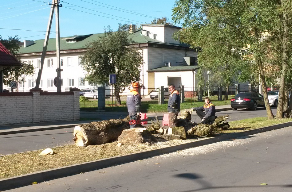 Specialistė: „Jonava – žalias miestas, tačiau išskirtinio veido neturi“